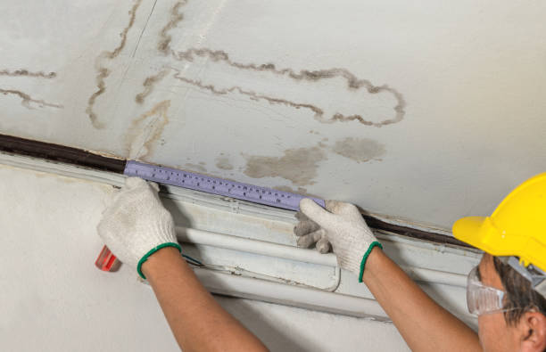 Reliable Structural Drying contractor in Bellingham, WA by Local Water Damage Repair